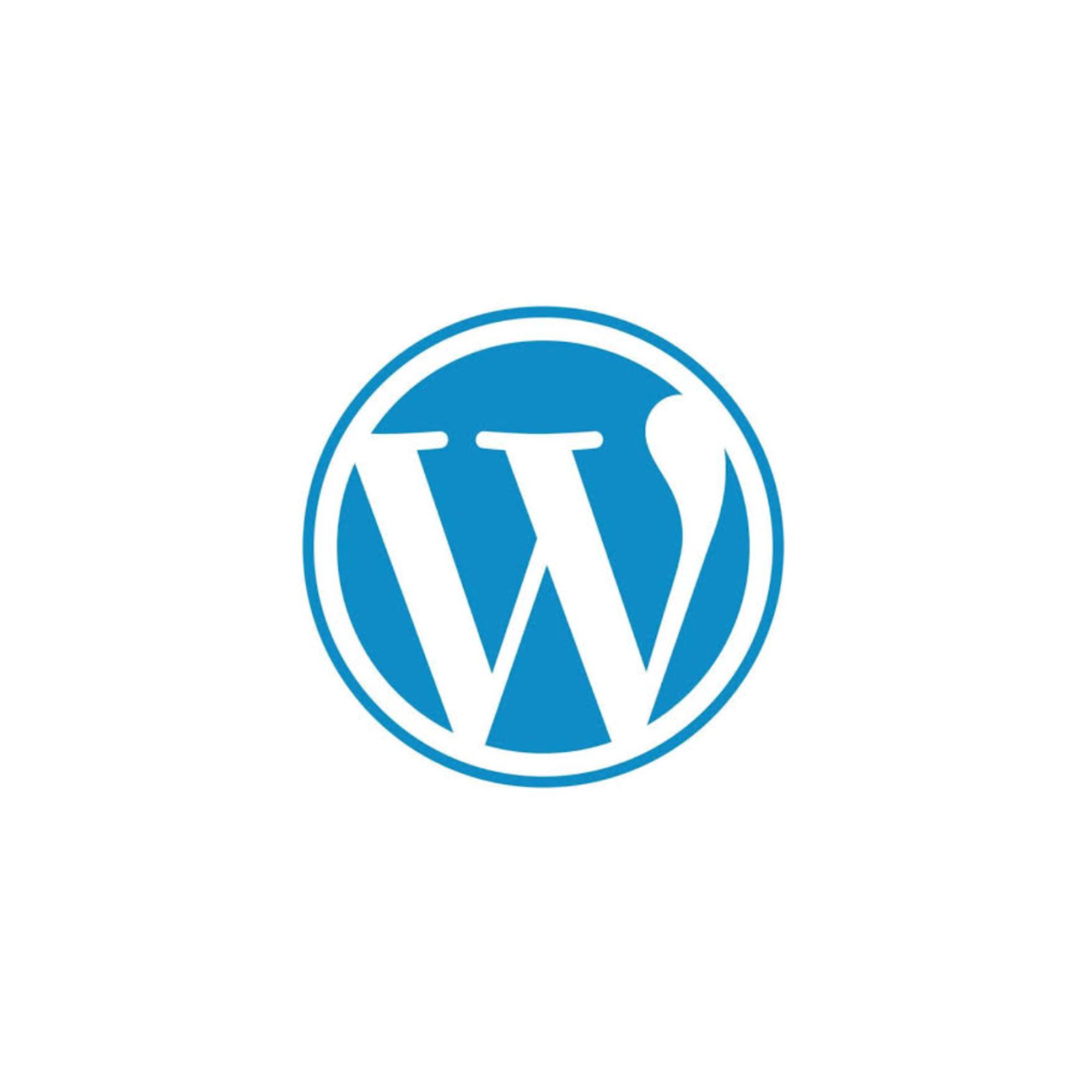 WordPress SEO Services